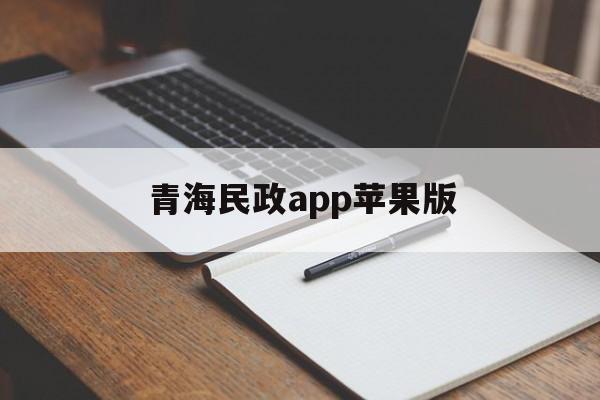 青海民政app苹果版(青海民政app账号是什么)-第11张图片-有道翻译官网
