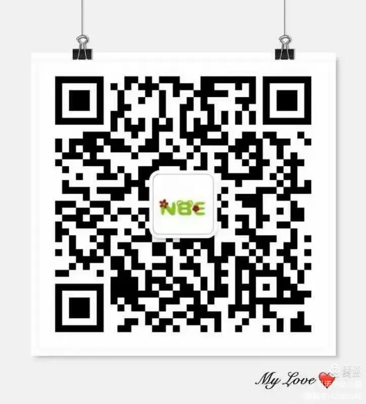 智慧西铁苹果版(智慧成铁苹果手机安装)