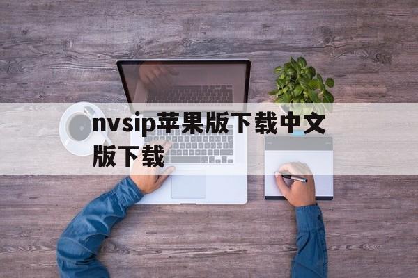 nvsip苹果版下载中文版下载(nvsip安卓版下载v678)-第3张图片-有道翻译官网