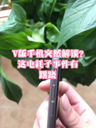 苹果v版在哪解锁(v版解锁后还会被锁吗)-第2张图片-有道翻译官网