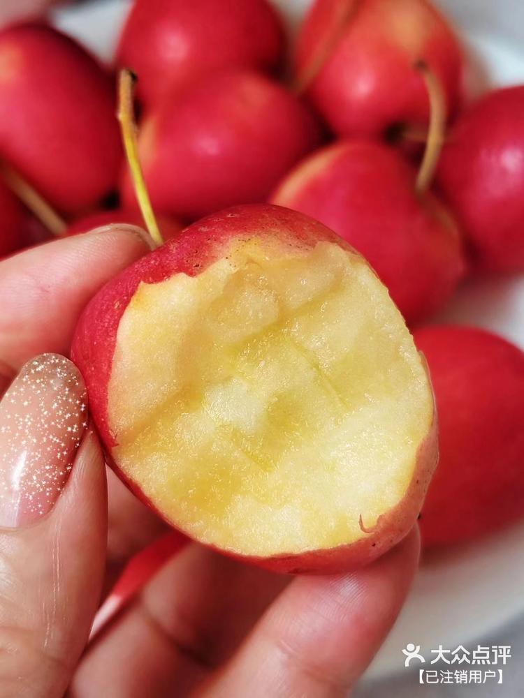 改良版小苹果搞笑版(搞笑版小苹果改编视频)-第9张图片-有道翻译官网 改良版小苹果搞笑版(搞笑版小苹果改编视频)-第9张图片-有道翻译官网